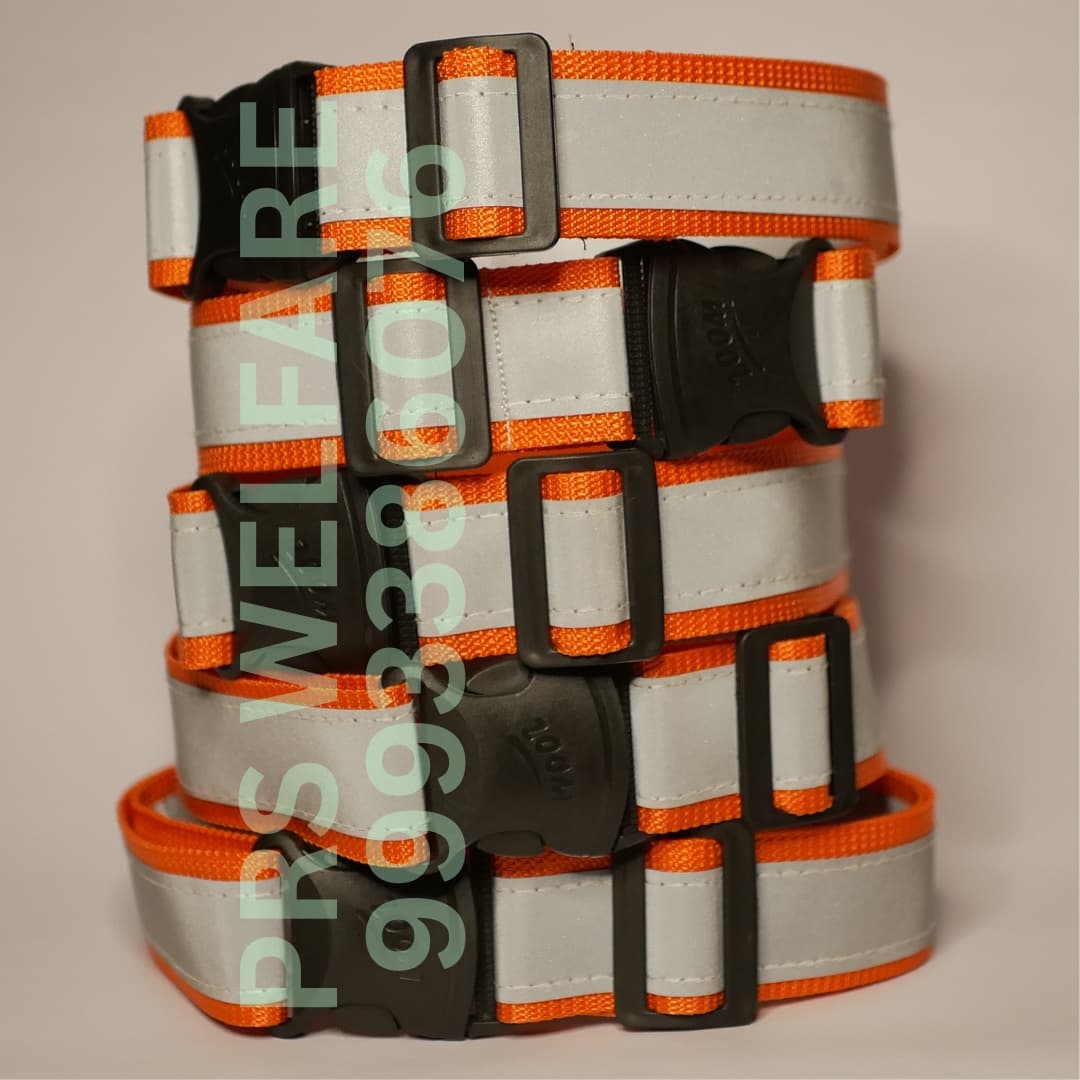 Reflective collar 4