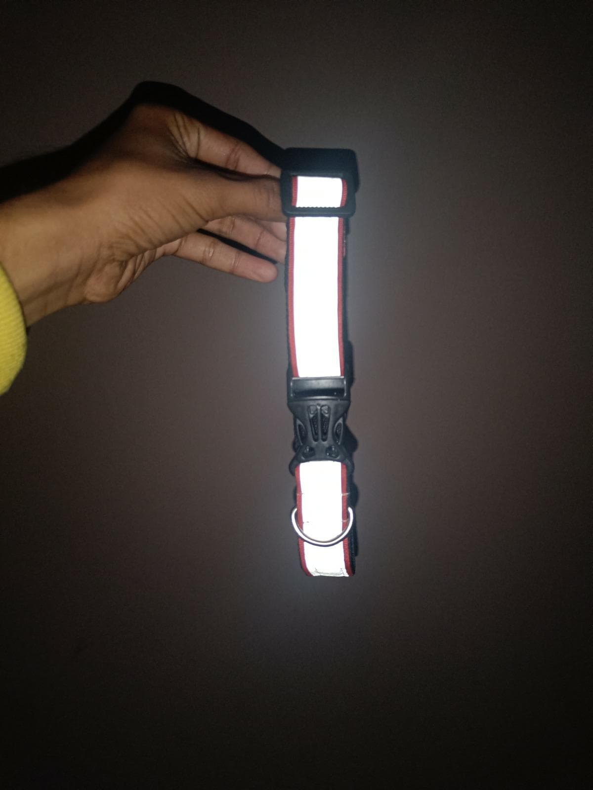 Reflective collar initiative 5